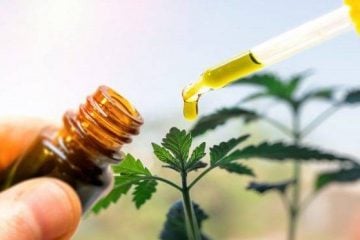 Número de usuários de canabidiol sobe 9 vezes em 4 anos