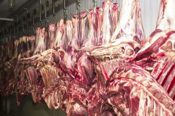 Alta do preço da carne puxa inflação em novembro no país, diz IBGE