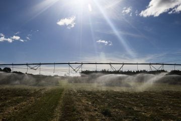 Prazo para produtores aderirem ao Refis Rural termina hoje