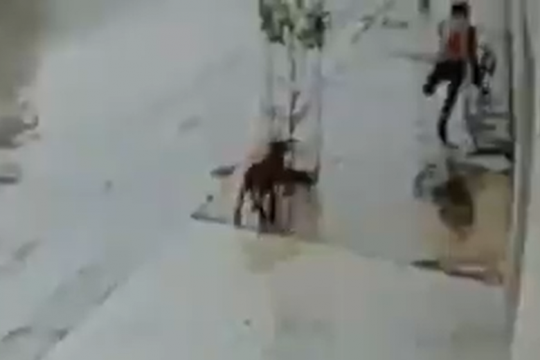 Sem uma perna, homem furta agência e foge de bicicleta; veja o vídeo