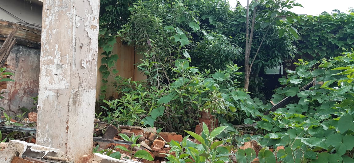 Prefeitura de Itabira inicia fiscalização de lotes abandonados