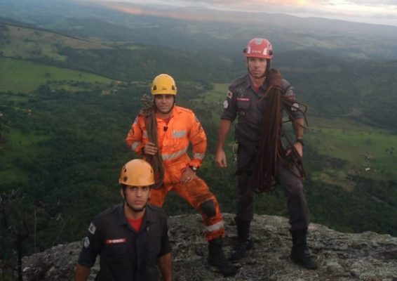 Após oito dias desaparecidos, cães são resgatados por bombeiros perto de cachoeira