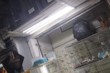 Comerciantes ignoram MP e animais continuam expostos à venda no Mercado Central
