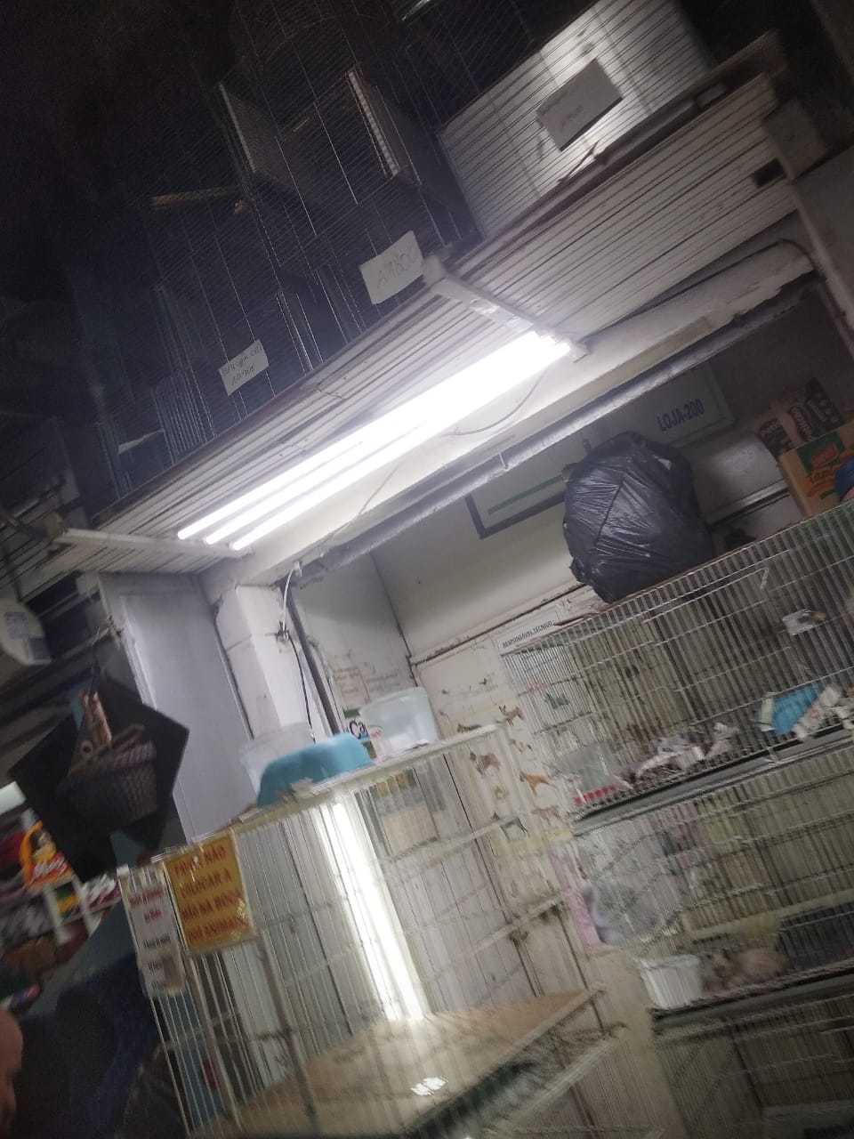 Comerciantes ignoram MP e animais continuam expostos à venda no Mercado Central