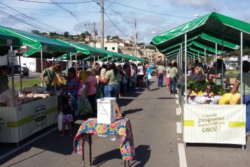 Feira itinerante amplia vendas da agricultura familiar em Itabira