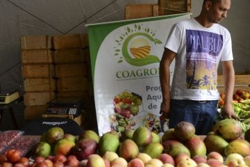 Governo reforça recomendações para feiras livres e sacolões