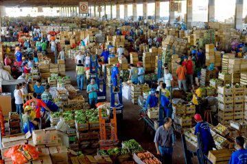 Abastecimento e produção agropecuária seguem dentro da normalidade