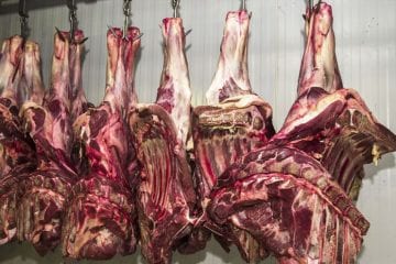 Governo cria protocolos para frigoríficos atuarem durante a pandemia
