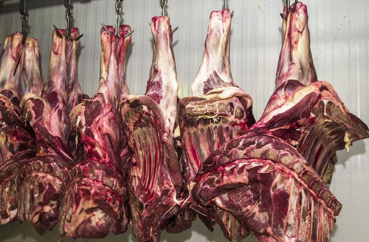 Governo cria protocolos para frigoríficos atuarem durante a pandemia