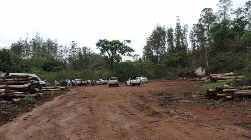 fazenda-palestina