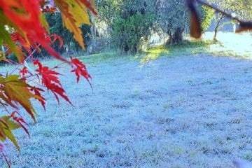 Maio termina muito frio e com geada no Brasil