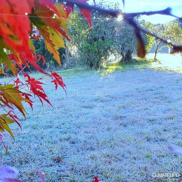 Maio termina muito frio e com geada no Brasil