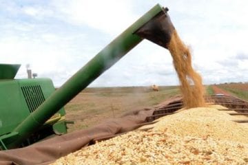 Ipea: setor agropecuário pode crescer até 2,5% apesar da covid-19