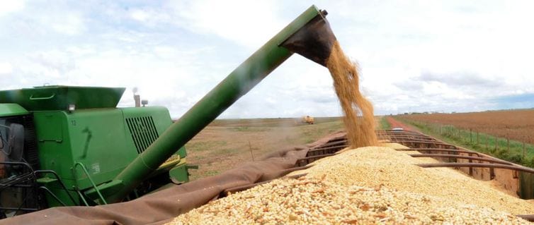 Ipea: setor agropecuário pode crescer até 2,5% apesar da covid-19