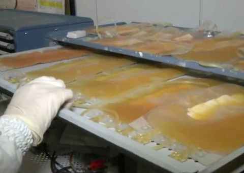 Plasma convalescente pode ser opção para tratamento da Covid-19