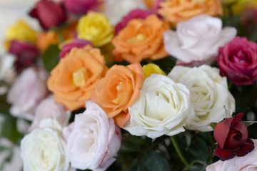 Campanha do Governo estimula envio de flores no Dia das Mães
