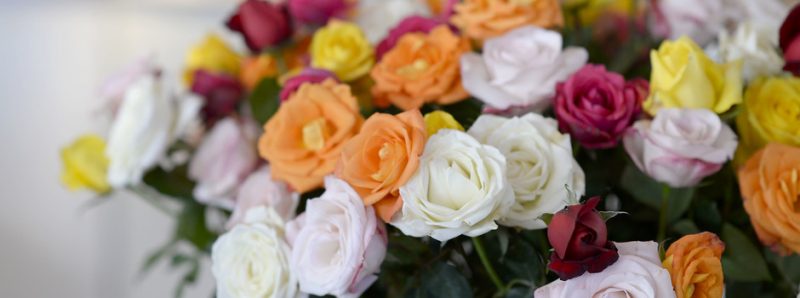 Campanha do Governo estimula envio de flores no Dia das Mães