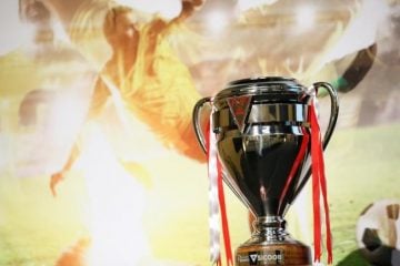 Sabe quem é o maior campeão do Mineiro? Confira a lista de vencedores