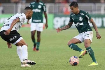 Palmeiras usa rede social para divulgar instituições que atuam contra a COVID-19