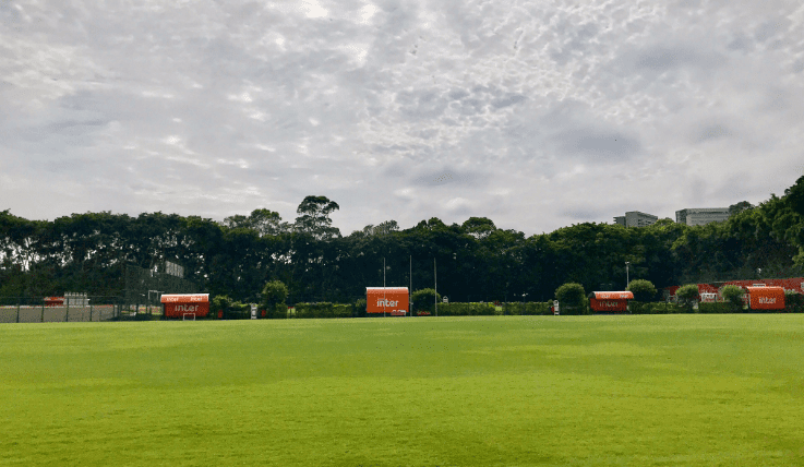 Treinos no estado de São Paulo serão liberados a partir de julho