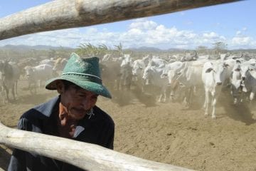 Plataforma ajuda a aumentar arrecadação do Imposto Territorial Rural