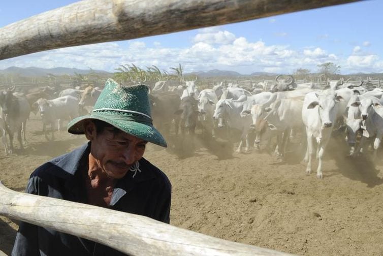 Plataforma ajuda a aumentar arrecadação do Imposto Territorial Rural