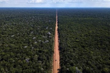 Governo publica edital para pavimentação da BR-319, no Amazonas