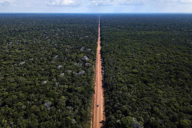 Governo publica edital para pavimentação da BR-319, no Amazonas
