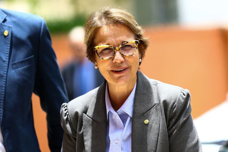 Ministra diz que Brasil pode intensificar produção sem derrubar árvore