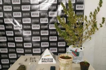 PM apreende 5 pés de maconha após flagrar tráfico em campo de futebol