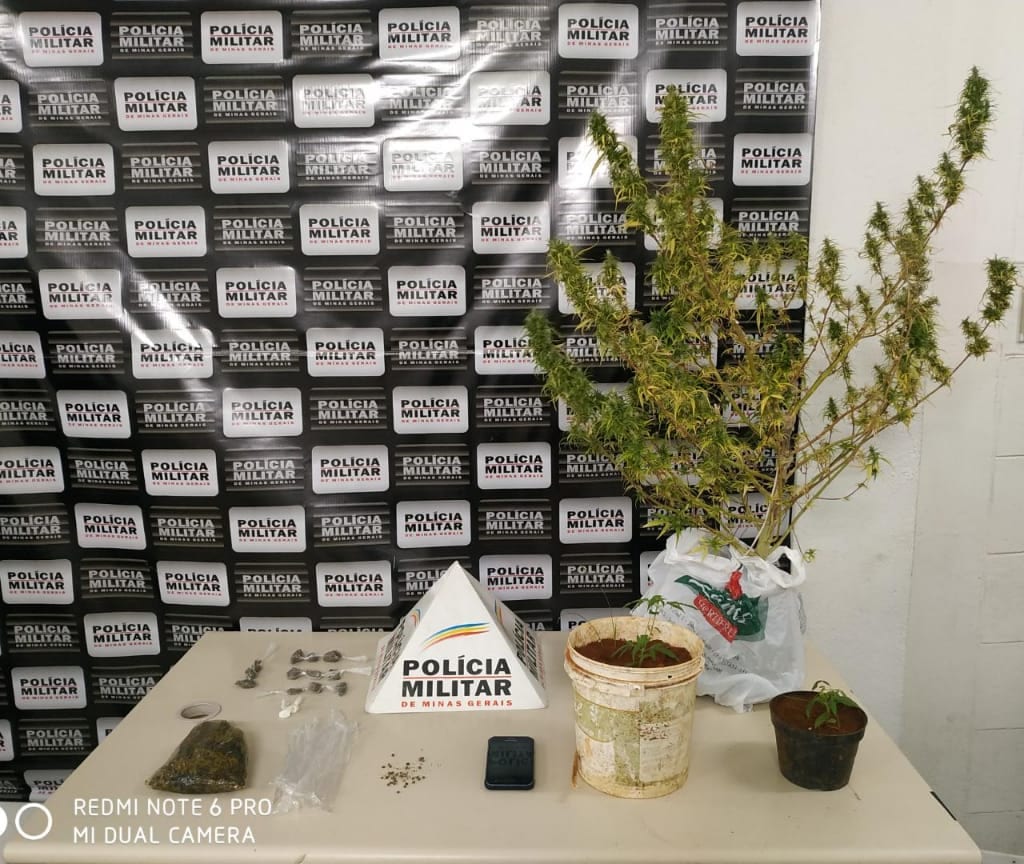 PM apreende 5 pés de maconha após flagrar tráfico em campo de futebol
