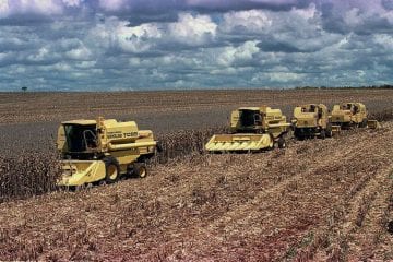 Commodities e China dominam exportações do Brasil em maio, indica FGV