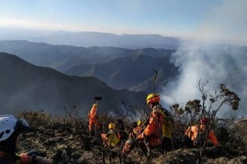 Incêndio na Serra Fina já queimou o equivalente a 490 campos de futebol