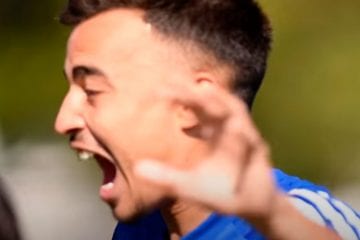 Questionário e identificação no reino animal: os ‘batismos’ de Riquelmo, Stênio e Guilherme no Cruzeiro