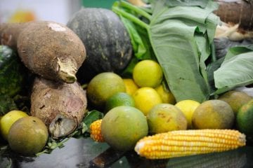 Plataforma facilita contato entre consumidor e produtor rural no DF
