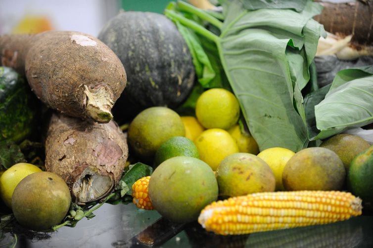Desperdício global de alimento alcança 121 kg per capita; maior parte é em casa