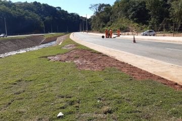 Polícia é acionada após placas de grama serem furtadas em avenida recém-inaugurada