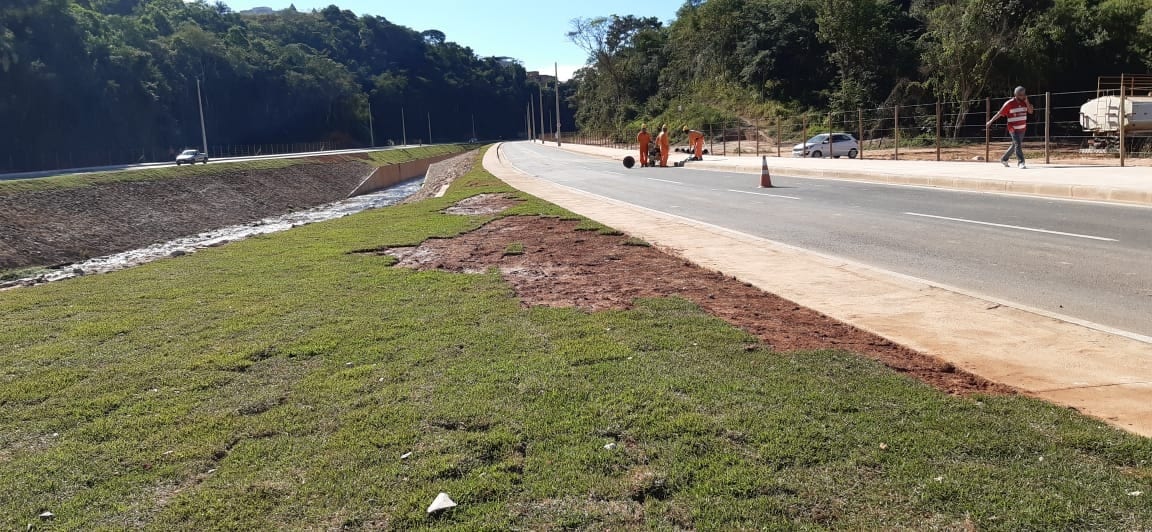 Polícia é acionada após placas de grama serem furtadas em avenida recém-inaugurada