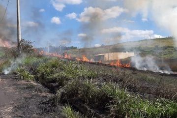 Grande quantidade de fumaça em incêndio assusta moradores em Itabira