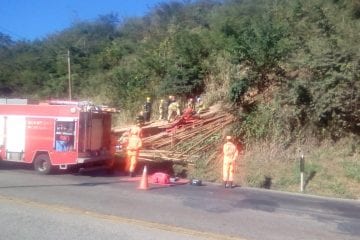 Motorista morre após caminhão carregado com madeira tombar na BR-381