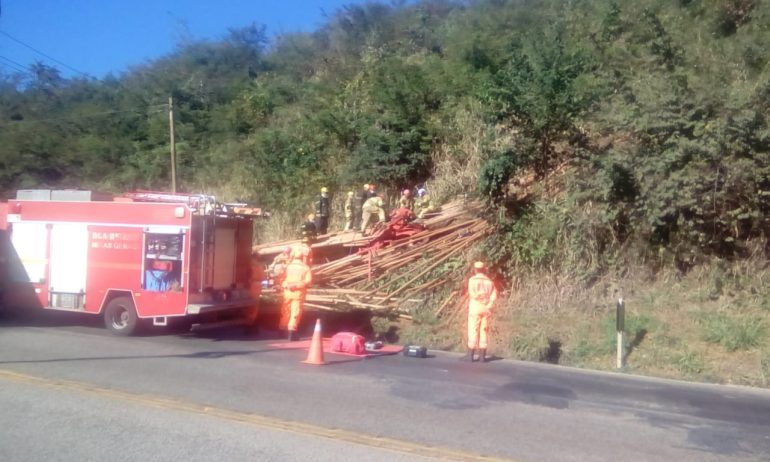 Motorista morre após caminhão carregado com madeira tombar na BR-381