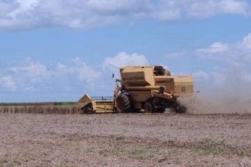 CNA prevê aumento da produção do agronegócio no próximo ano