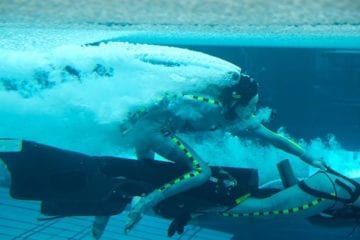Avatar: nova imagem de bastidores mostra filmagens debaixo da água