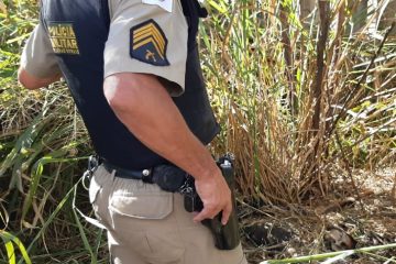 Funcionários da Itaurb encontram corpo em decomposição durante capina em Itabira