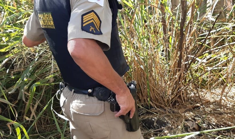 Funcionários da Itaurb encontram corpo em decomposição durante capina em Itabira