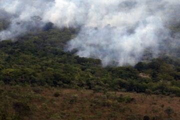 Decreto proíbe queimadas em todo o Brasil por 120 dias