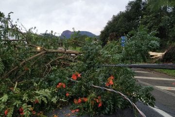 Região Sul volta a entrar em alerta devido a risco de novos temporais