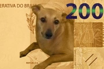 Deputado quer vira-lata caramelo como estampa da nota de R$200