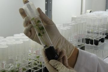 Epamig oferece oportunidades de iniciação científica para jovens universitários