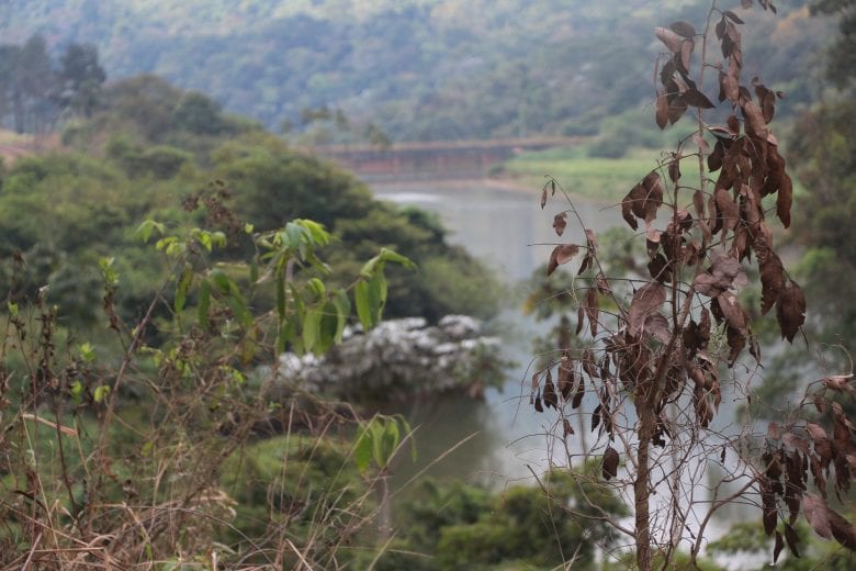 Prefeitura de Monlevade e parceiros instalam ecobarreira no rio Piracicaba
